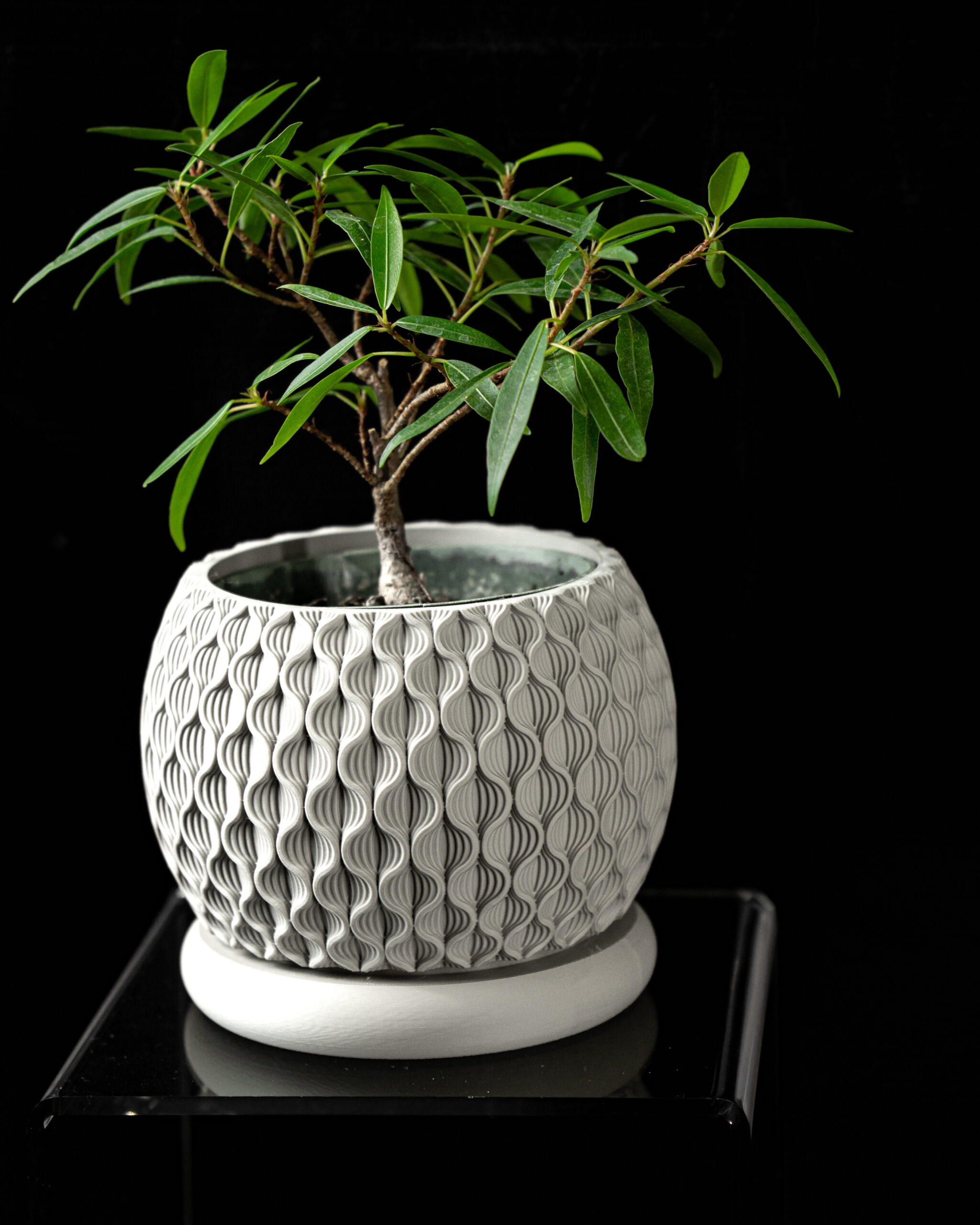 vaso per piante BLOOM, design moderno, stampato in 3D