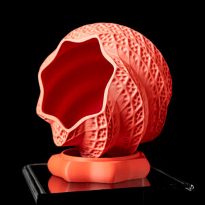 Vaso per piante SHELL, design moderno, stampato in 3D