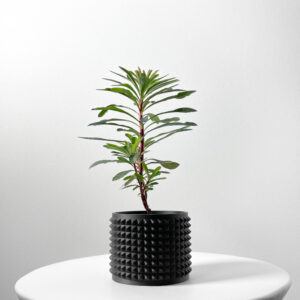 vaso per piante ANVER, design moderno, stampato in 3D